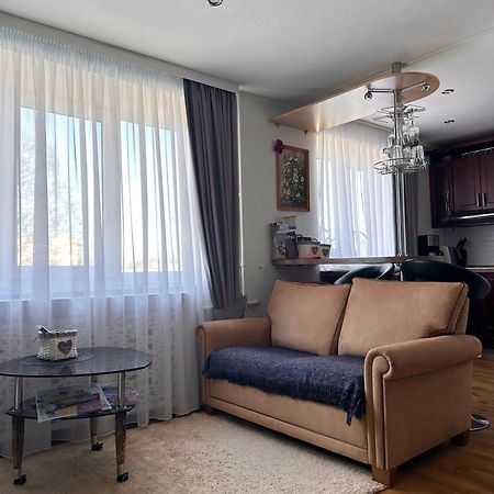 Central Daugavpils Apartment المظهر الخارجي الصورة